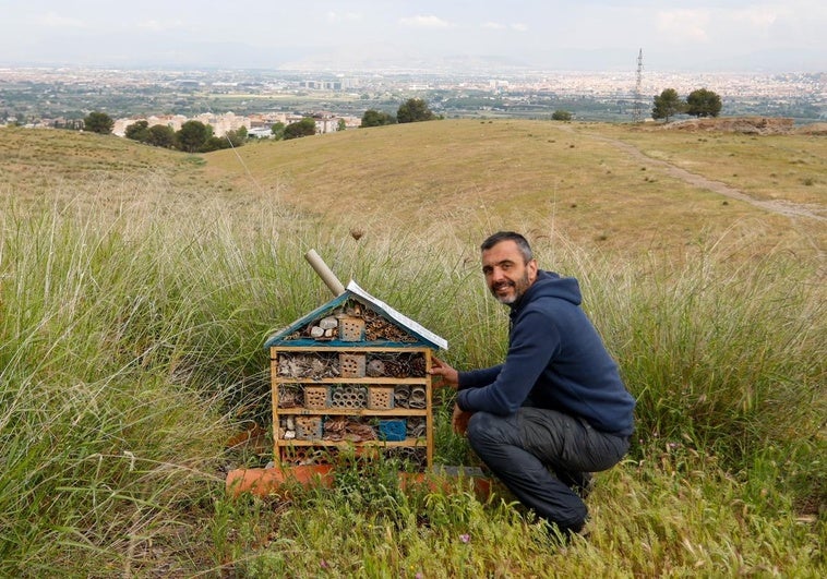 Un hotel para que los bichos se sientan como en casa